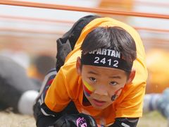 -春花秋色城市公园