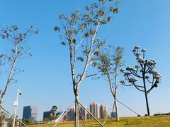 -白石龙音乐公园