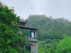 -老张烤羊(王哥庄店)