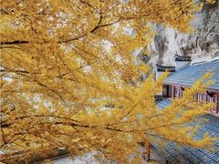 -大慈岩风景区