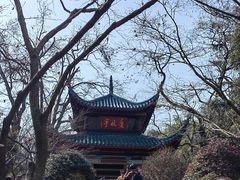 -岳麓山风景名胜区