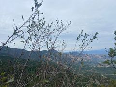 -阳台山自然风景区