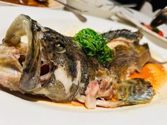 -悦海堂(金融街购物中心店)