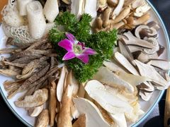 -野菌皇海景野生菌火锅(滨海大道店)