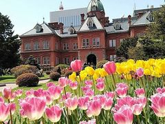 -北海道厅旧本厅舍(旧本庁舎)