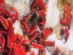 -辣婆婆(航天桥店)