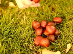 -重庆市江北嘴中央商务区中央公园