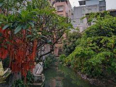 -小洲村