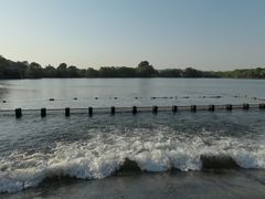 -西湖外事游船(花港观鱼码头)