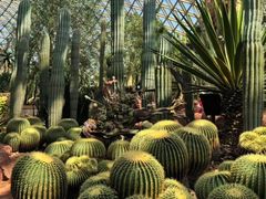 -上海辰山植物园