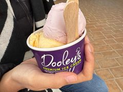 -Dooley's Premium Ice Cream