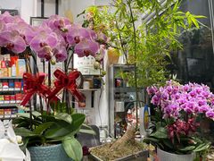 -FEI FEI FLOWER鲜花店·气球派对·宝宝宴布置(虹口德必运动Loft店)