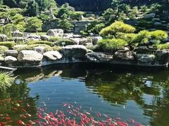 -中国唐苑