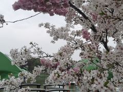 -上海杨姆庄园