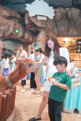 -宝燕乐园(闵行旗舰店)