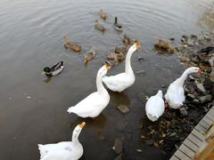 -河北村民俗体验园