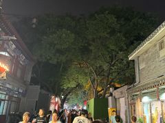 -南锣鼓巷