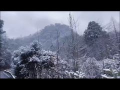 -青城山
