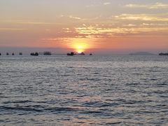 -墨脱石锅椰子鸡•香草鸭•东山羊(大东海店)