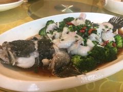 葱油珍珠斑-好福记饭店(红梅公园店)