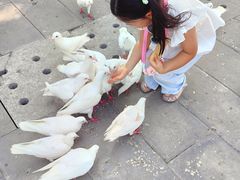 -天津妈祖文化园