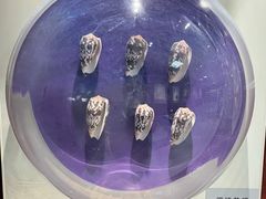 -青岛贝壳博物馆