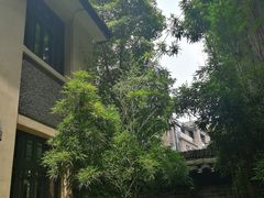-也枫·小黄楼(南山路旗舰店)