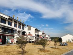 -莲花岛景区