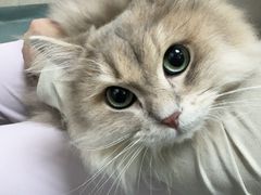 -动物缘宠物医院·骨科·猫科(西二环店)