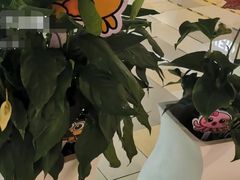 -鹏欣水游城
