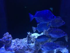 -成都浩海立方海洋公园