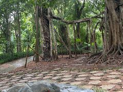 -中国科学院西双版纳热带植物园