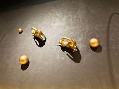 -黄晓猫剁椒大鱼头(海岸城店)