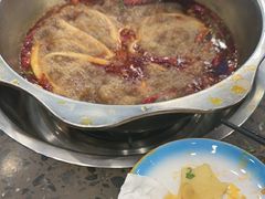 -金鼎雪山牦牛杂火锅(理县总店)