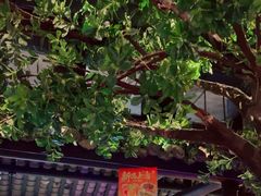 -绿茶餐厅(昆明世纪金源店)