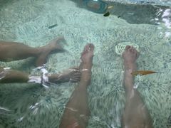 -海口观澜湖火山温泉谷