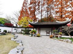 -上海醉白池公园