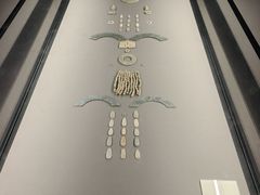 -荆州博物馆