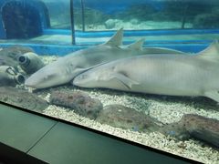 -福州罗源湾海洋世界旅游区