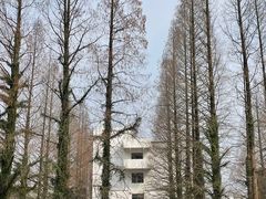 -紫阳古街