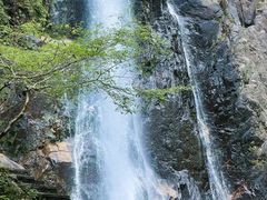 -姑婆山旅游区