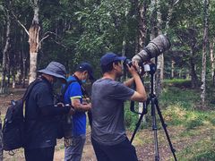 -长春市南湖公园