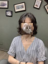 点击看大图 -藤野造型