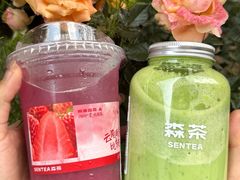 -森茶(湛江万达店)