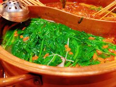 -镇江龙·火锅串串(武侯祠店)