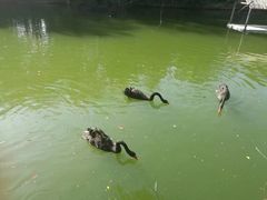 -广东茂名森林公园