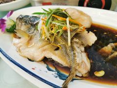 -五谷屯私房菜·始于2005(中山陵童卫路店)