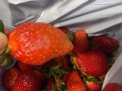 -果唯伊(共和新路店)