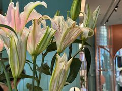 -南堂馆·新川菜(春熙路店)