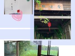 -荷塘月色湿地公园·向阳花洲